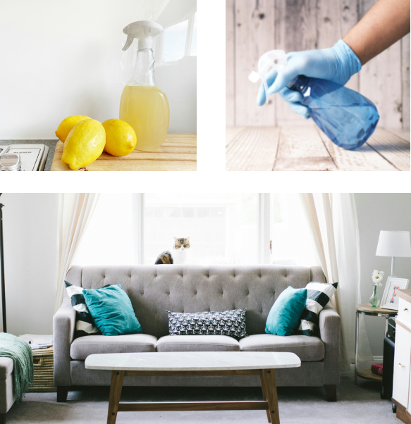 Backed by Eco Pro cleaning products