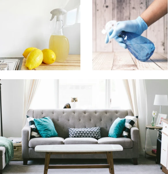 Backed by Eco Pro cleaning products