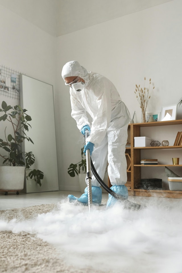 Specialist Cleaning Support in Ras Al Khaimah