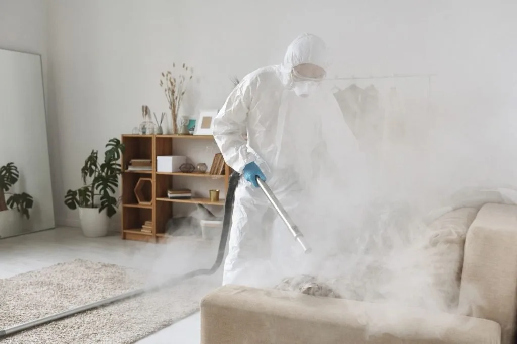 Steam cleaning and extraction of a sofa in Ras Al Khaimah
