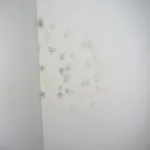 Mould & Mildew Removal in RAK Homes: Winning Against Summer Humidity